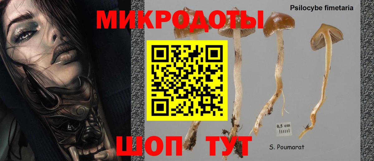 Галлюциногенные грибы MAGIC MUSHROOMS  Вход с VPN  что такое   Псилоцибиновые грибы Magic Shrooms  Можайск 