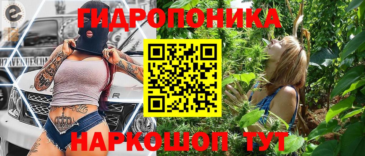 Шишки марихуана планчик Можайск